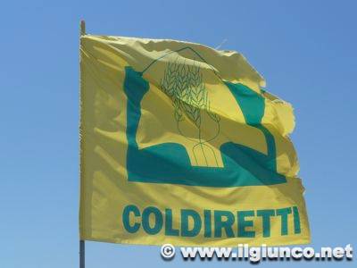coldiretti_bandiera
