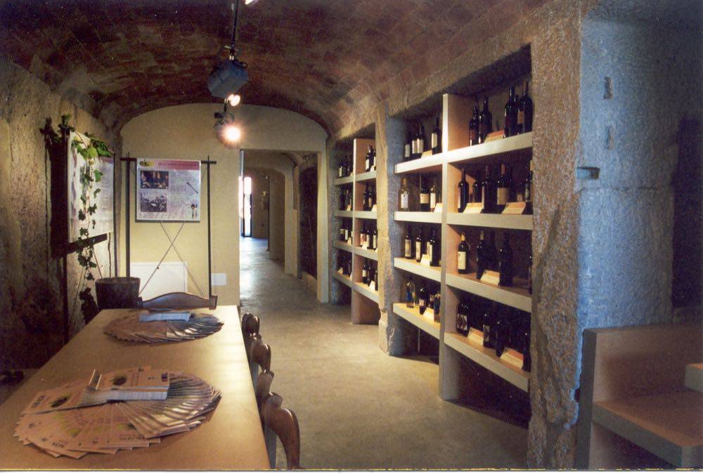 Museo della vite e del vino
