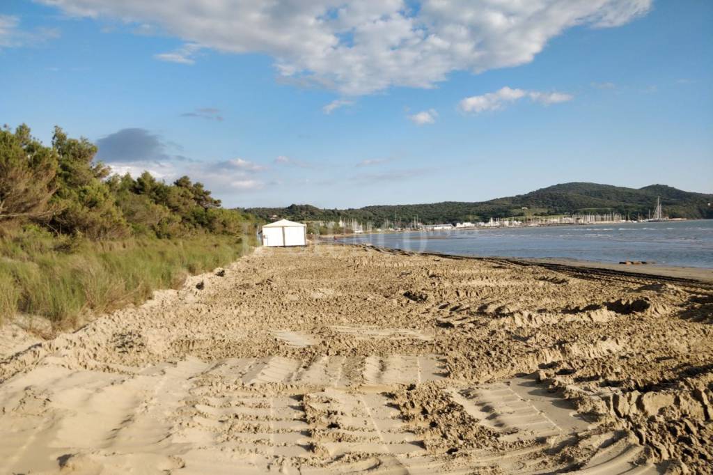 Erosione e ripascimento spiaggia Scarlino