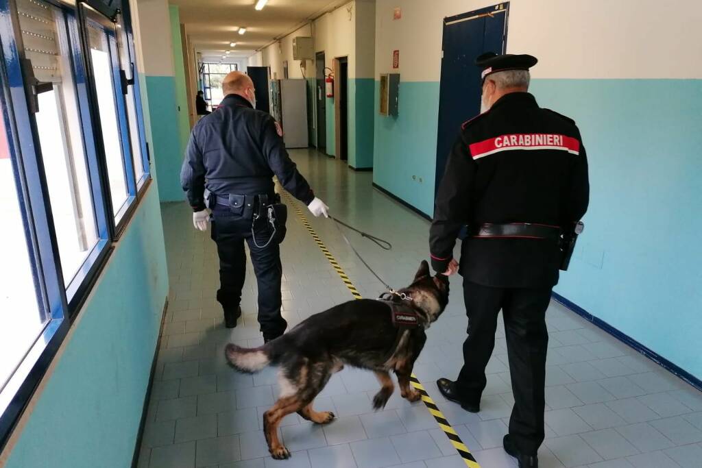 carabinieri droga cani scuola