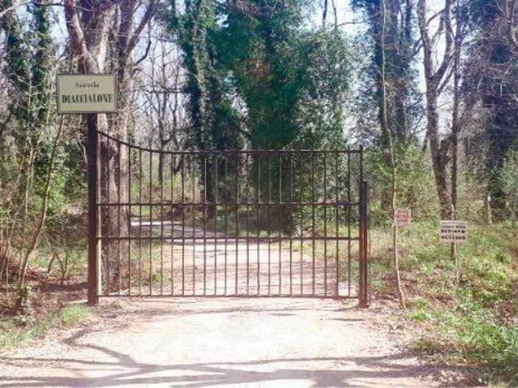 cancello Diaccialone