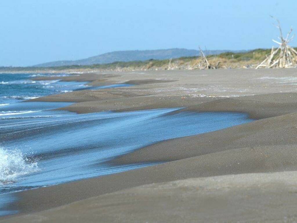 erosione spiaggia capalbio
